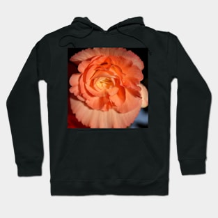 Apricot-pink Tuberous Begonia Hoodie